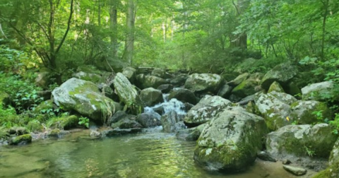 Texter Mountain Nature Preserve Is A Magical Place In Pennsylvania That You Thought Only Existed In Your Dreams