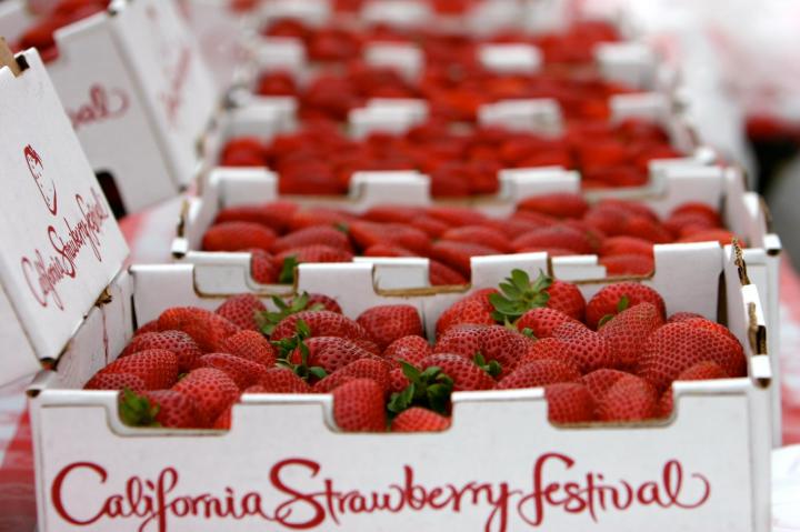 strawberry festival in southern california