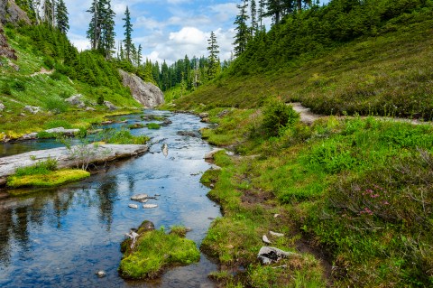 9 Amazing Washington Hikes Under 3 Miles You'll Absolutely Love