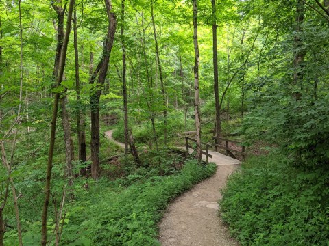 Hike Through A Hidden Forest Then Dine At A Small-Town Cafe On This Delightful Adventure In Ohio