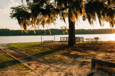 Little Ocmulgee State Park Is A Magical Place In Georgia That You Thought Only Existed In Your Dreams