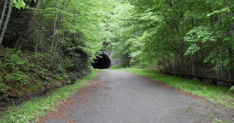 This Scenic Drive Runs Straight Through North Carolina's Great Smoky Mountains National Park, And It's A Breathtaking Journey