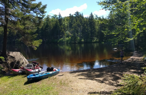 Woodford State Park Beach Is A Secret Spot In Vermont Where The Water Will Leave You Mesmerized