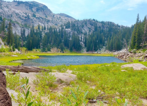 Upper Bells Canyon Reservoir Is A Magical Place In Utah That You Thought Only Existed In Your Dreams