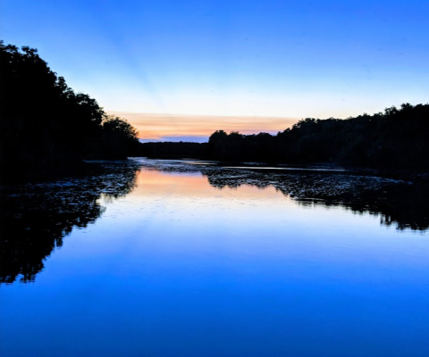 Spot Wildflowers, Birds, And More Along This Picture-Perfect Nature Trail In Minnesota