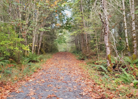 Nisqually State Park Is The Newest State Park In Washington And It's Incredible