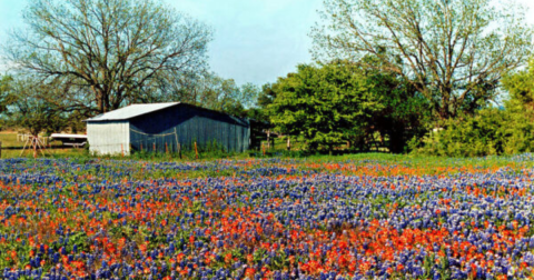 15 Slow-Paced Small Towns Near Dallas-Fort Worth Where Life Is Still Simple