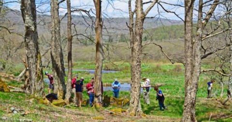 Enjoy The Most Colorful Spring Festival In West Virginia At The Wildflower Pilgrimage