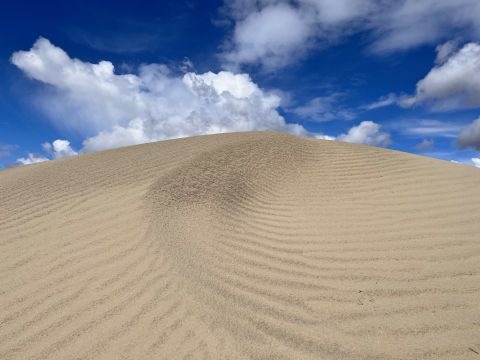 A Bit Of An Unexpected Natural Wonder, Few People Know There Are Sand Dunes Hiding In Washington