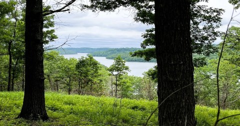 Spot Rare Species Of Wildflowers, Deer, And More Along This Picture-Perfect Nature Trail In Arkansas