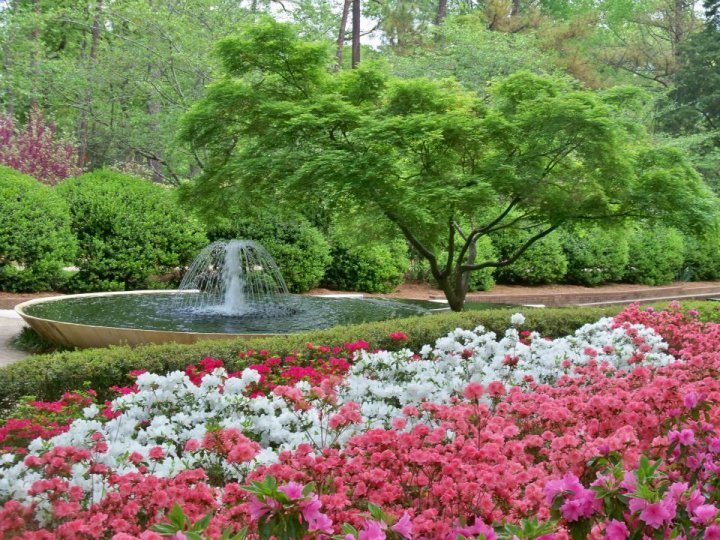 Glencairn Garden