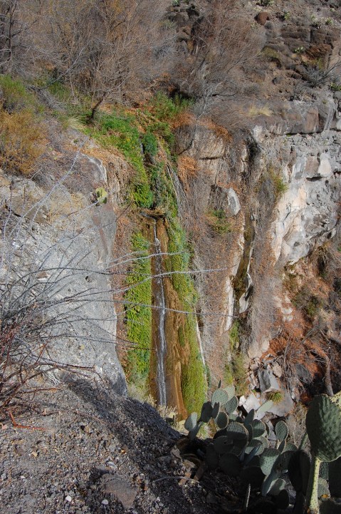 If True Paradise Was In Texas, It Would Be At Madrid Falls In Big Bend Ranch State Park