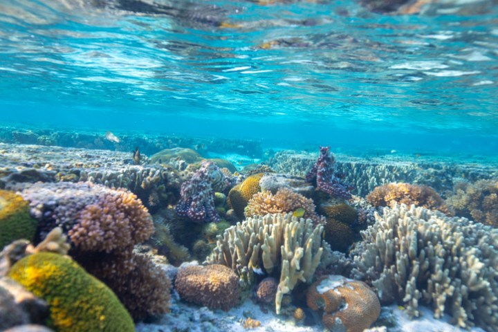 Great Barrier Reef