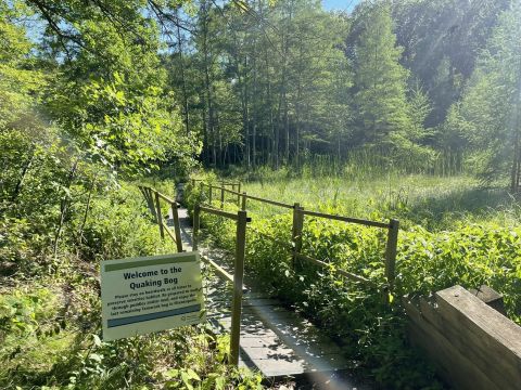 Quaking Bog Is A Magical Place In Minnesota That You Thought Only Existed In Your Dreams