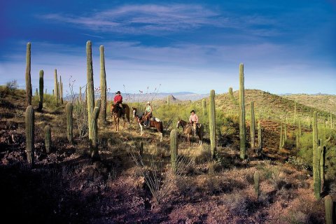 Surrounded By Mountains, This All-Inclusive Ranch In Arizona Is The Getaway You Deserve