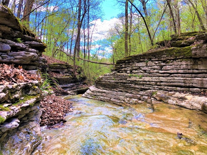 nature trail in Arkansas