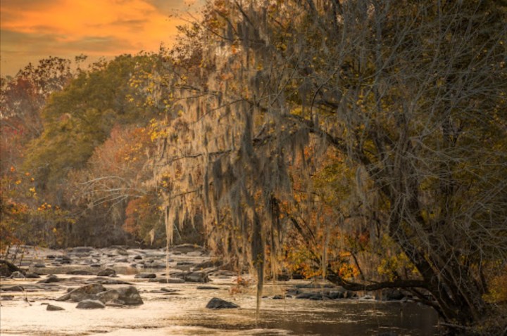 Saluda Riverwalk Trail in South Carolina Leads to Boyd Island