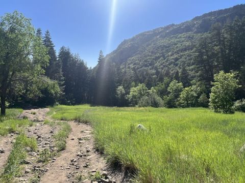 Spot Streams, A Waterfall, And More Along This Picture-Perfect Nature Trail In Utah