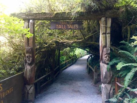 Ride A Gondola Through Some Of The Tallest Trees In The World On This Fairy Tale Trail In Northern California