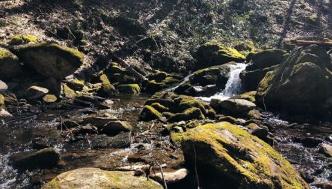 We Bet You Didn't Know There Is A Miniature Waterfall In North Carolina