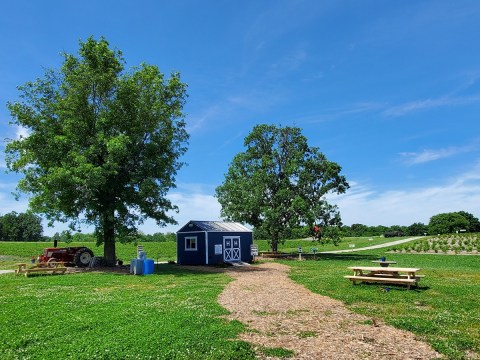 You’ll Have Loads Of Fun At This Pick-Your-Own Fruit Farm In Missouri