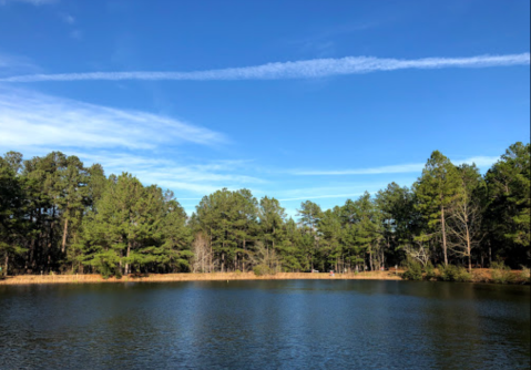 Few People Know There's A Beautiful State Park Hiding In This Tiny Georgia City