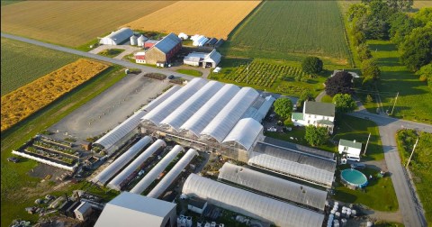 You'll Find Hundreds Of Varieties Of Plants, Herbs And Vegetables At Glick’s Greenhouse In Pennsylvania