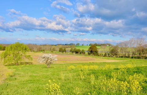 This Historic Battlefield May Be Home To Virginia's Next State Park