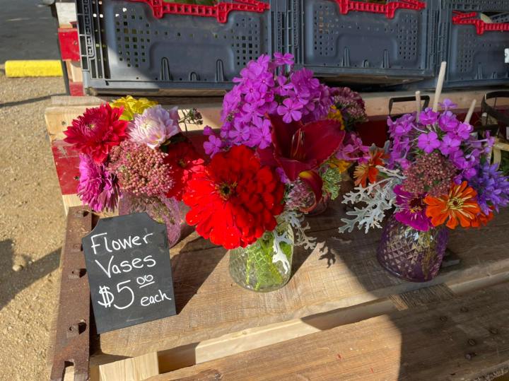 Farmers Market Corunna Michigan