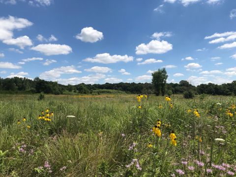 Boot Lake Trail In Indiana Is So Little-Known, You Just Might Have It All To Yourself