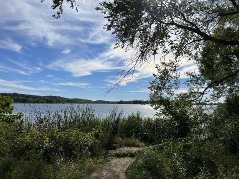 Take A Boardwalk Trail Through The Wetlands Of The Kettle Moraine In Wisconsin