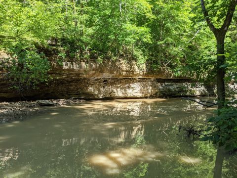 Three Creeks Conservation Area In Columbia, Missouri Is So Little-Known, You Just Might Have It All To Yourself