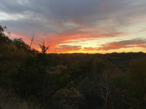 The Unique Hike In Missouri That Leads You To Scenic Bluffs