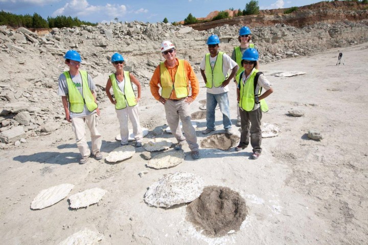 dinosaur tracks in Arkansas