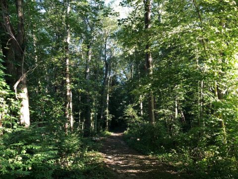 The Unique Hike In Rhode Island That Leads You To A Troll Cave