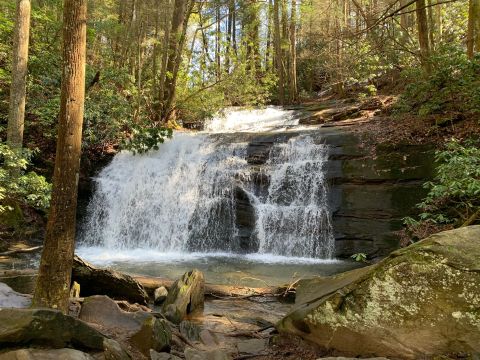 Hike To A Beautiful Waterfall Then Dine At A Small-Town BBQ Spot On This Delightful Adventure In Georgia