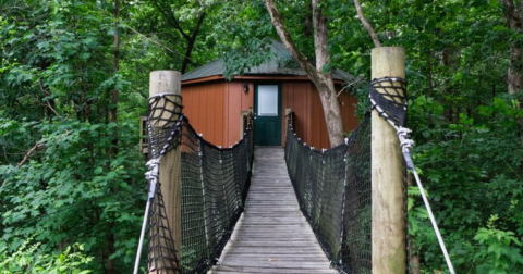 There's A Treehouse Village In Georgia Where You Can Spend The Night