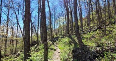 Buffalo Mountain Natural Area Preserve In Floyd, Virginia Is So Little-Known, You Just Might Have It All To Yourself