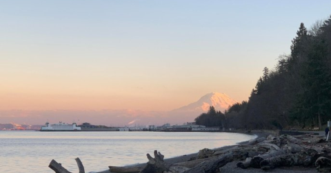 This Family-Friendly Park In Washington Has A Zoo, Aquarium, Rose Garden, Hiking Trails, And More