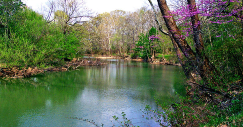 Here Are 7 Swimming Holes In Ohio That Will Make Your Days Epic