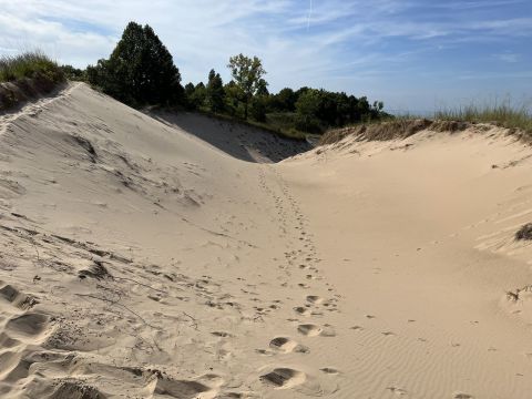 The Unique Hike In Indiana That Leads You Through Stunning Sand Dunes