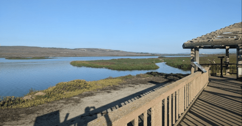 Ocean Beach Park In Lompoc Is So Little-Known, You Just Might Have It All To Yourself