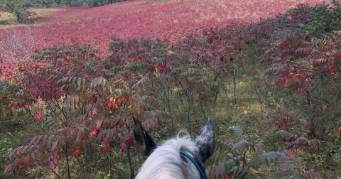 Sheyenne National Grasslands In North Dakota Is So Little-Known, You Just Might Have It All To Yourself