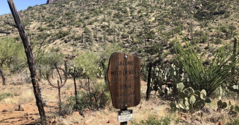 Salome Jug Canyon In Arizona Is Filled With Pristine Swimming Holes