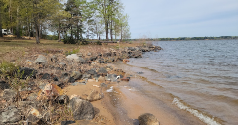 Lake O' The Pines In Texas Is So Little-Known, You Just Might Have It All To Yourself