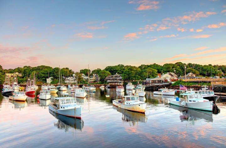 boats in harbor in Ogunquit