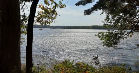 Pillsbury State Forest In Minnesota Is So Little-Known, You Just Might Have It All To Yourself