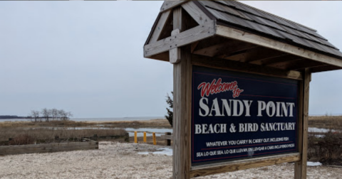 The Amazing Bird Sanctuary Beach Everyone In Connecticut Will Want To Visit