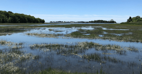 This Scenic 13-Mile Drive Just May Be The Most Underrated Adventure In Connecticut