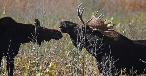 Perhaps The State's Best Hidden Treasure, Hardly Anyone Knows This Incredible Wilderness Area Exists In Minnesota